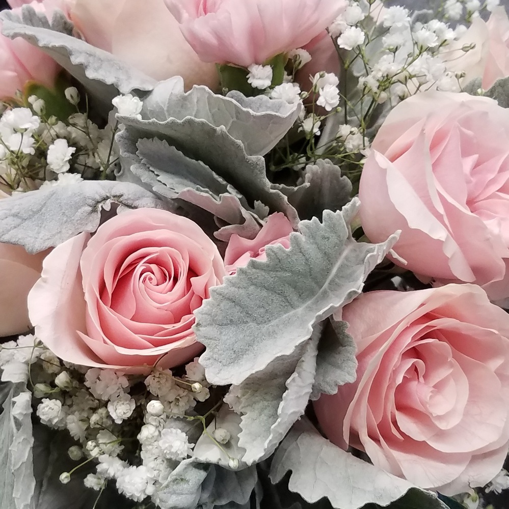 Meet your Posher, Megan